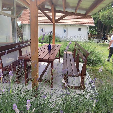 Mirella Rooms Palić Eksteriør billede